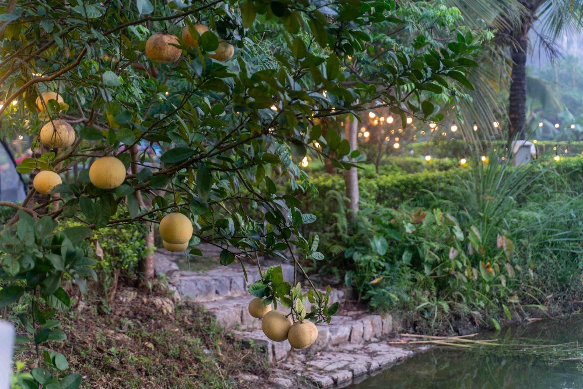 The Goat Boutique Resort ニンビン エクステリア 写真